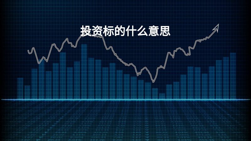 投资标的什么意思