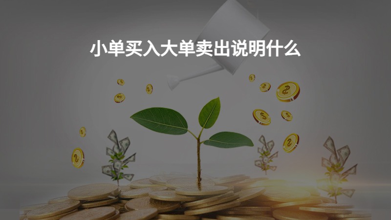 小单买入大单卖出说明什么