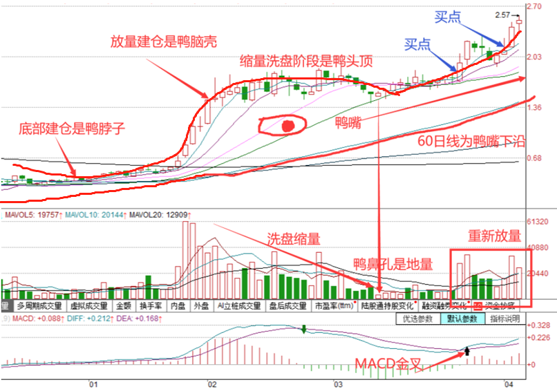 什么样的老鸭头形态上涨最凶？-第1张图片-腾赚网